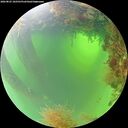 ./images/calvert/underwater/20260825/underwater20260825_102501M.jpg