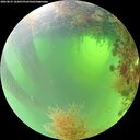 ./images/calvert/underwater/20260825/underwater20260825_103001M.jpg