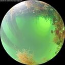 ./images/calvert/underwater/20260825/underwater20260825_103501M.jpg