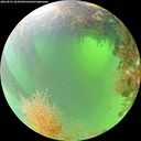 ./images/calvert/underwater/20260825/underwater20260825_104502M.jpg