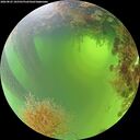 ./images/calvert/underwater/20260825/underwater20260825_105501M.jpg
