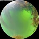 ./images/calvert/underwater/20260825/underwater20260825_110001M.jpg