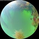 ./images/calvert/underwater/20260825/underwater20260825_110501M.jpg