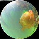 ./images/calvert/underwater/20260825/underwater20260825_111501M.jpg