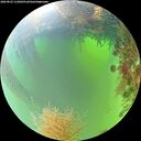 ./images/calvert/underwater/20260825/underwater20260825_112002M.jpg