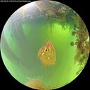 ./images/calvert/underwater/20260825/underwater20260825_112501M.jpg