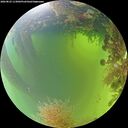 ./images/calvert/underwater/20260825/underwater20260825_113001M.jpg