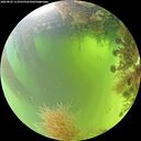 ./images/calvert/underwater/20260825/underwater20260825_113501M.jpg
