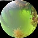 ./images/calvert/underwater/20260825/underwater20260825_114501M.jpg