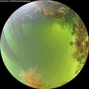 ./images/calvert/underwater/20260825/underwater20260825_115002M.jpg