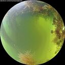 ./images/calvert/underwater/20260825/underwater20260825_115501M.jpg