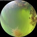 ./images/calvert/underwater/20260825/underwater20260825_121001M.jpg