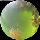 ./images/calvert/underwater/20260825/underwater20260825_121501M.jpg