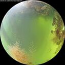 ./images/calvert/underwater/20260825/underwater20260825_122001M.jpg