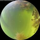./images/calvert/underwater/20260825/underwater20260825_123002M.jpg