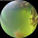 ./images/calvert/underwater/20260825/underwater20260825_123501M.jpg