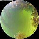 ./images/calvert/underwater/20260825/underwater20260825_124001M.jpg