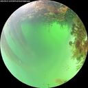 ./images/calvert/underwater/20260825/underwater20260825_125501M.jpg