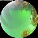 ./images/calvert/underwater/20260825/underwater20260825_130001M.jpg