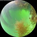 ./images/calvert/underwater/20260825/underwater20260825_130501M.jpg