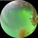 ./images/calvert/underwater/20260825/underwater20260825_131001M.jpg