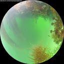 ./images/calvert/underwater/20260825/underwater20260825_131501M.jpg