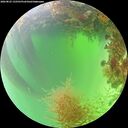 ./images/calvert/underwater/20260825/underwater20260825_132501M.jpg