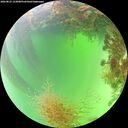 ./images/calvert/underwater/20260825/underwater20260825_133001M.jpg