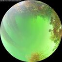 ./images/calvert/underwater/20260825/underwater20260825_133501M.jpg