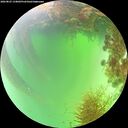 ./images/calvert/underwater/20260825/underwater20260825_134002M.jpg