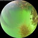./images/calvert/underwater/20260825/underwater20260825_135001M.jpg