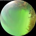 ./images/calvert/underwater/20260825/underwater20260825_140501M.jpg
