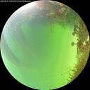 ./images/calvert/underwater/20260825/underwater20260825_141002M.jpg