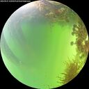 ./images/calvert/underwater/20260825/underwater20260825_142001M.jpg