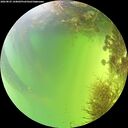 ./images/calvert/underwater/20260825/underwater20260825_144001M.jpg