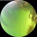 ./images/calvert/underwater/20260825/underwater20260825_144501M.jpg
