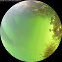./images/calvert/underwater/20260825/underwater20260825_145001M.jpg