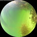 ./images/calvert/underwater/20260825/underwater20260825_145502M.jpg
