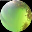 ./images/calvert/underwater/20260825/underwater20260825_150501M.jpg