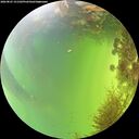 ./images/calvert/underwater/20260825/underwater20260825_151502M.jpg