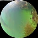 ./images/calvert/underwater/20260825/underwater20260825_152501M.jpg