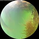 ./images/calvert/underwater/20260825/underwater20260825_153501M.jpg