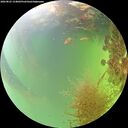 ./images/calvert/underwater/20260825/underwater20260825_154002M.jpg