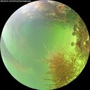 ./images/calvert/underwater/20260825/underwater20260825_155501M.jpg