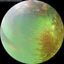 ./images/calvert/underwater/20260825/underwater20260825_160001M.jpg