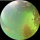 ./images/calvert/underwater/20260825/underwater20260825_160501M.jpg
