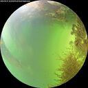 ./images/calvert/underwater/20260825/underwater20260825_161001M.jpg