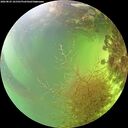 ./images/calvert/underwater/20260825/underwater20260825_161501M.jpg