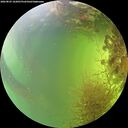 ./images/calvert/underwater/20260825/underwater20260825_162001M.jpg