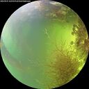 ./images/calvert/underwater/20260825/underwater20260825_162501M.jpg